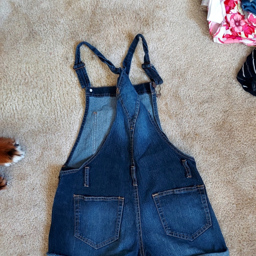 Overalls - Picture 2 of 2